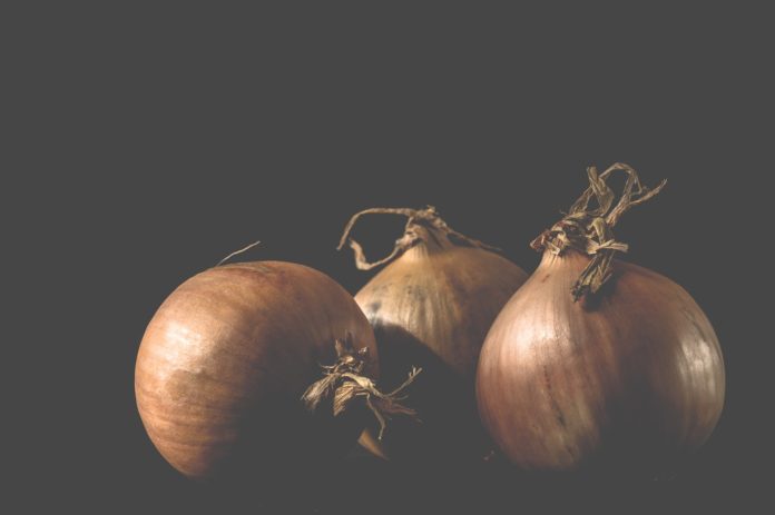 Onion Production in Ghana